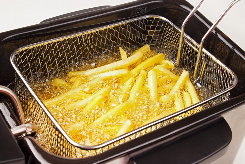 La friteuse électrique pour la cuisson des frites, quel modèle choisir ?
